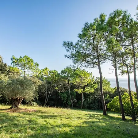 Paradis Pleine Nature En Bord De Saint-Georges-de-Didonne
